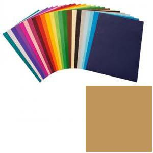 Цветной картон 70x50cм, двухсторонний 250г. 1 лист, светло-коричневый