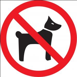 Наклейка (знак) \&quot;Вход с собаками запрещён\&quot; 114ммx144мм